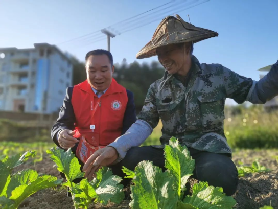 福建農信新一期“鄉村振興貸”投放突破10億元，占全省七成以上
